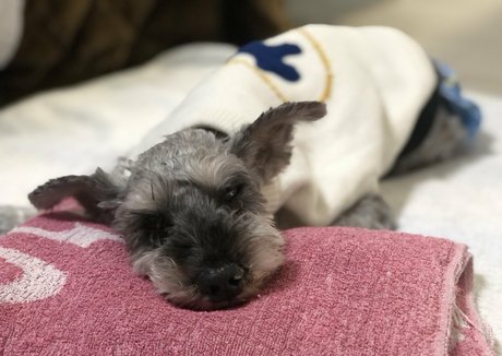 bbw solo onlyfans beautiful porn photo