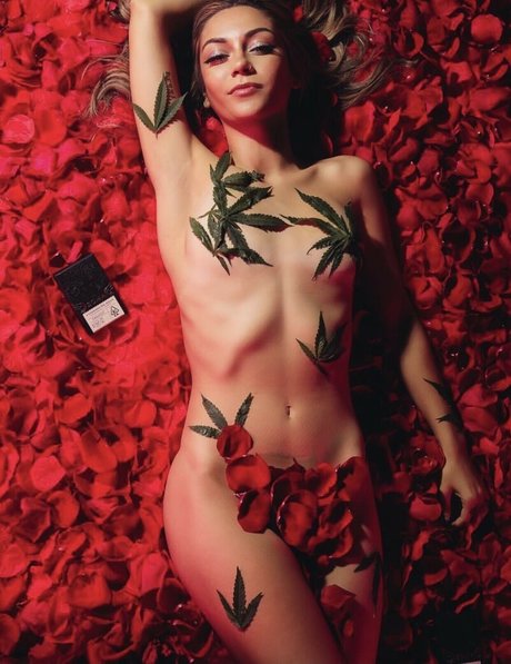 Trippytreez sexy pornstar picture