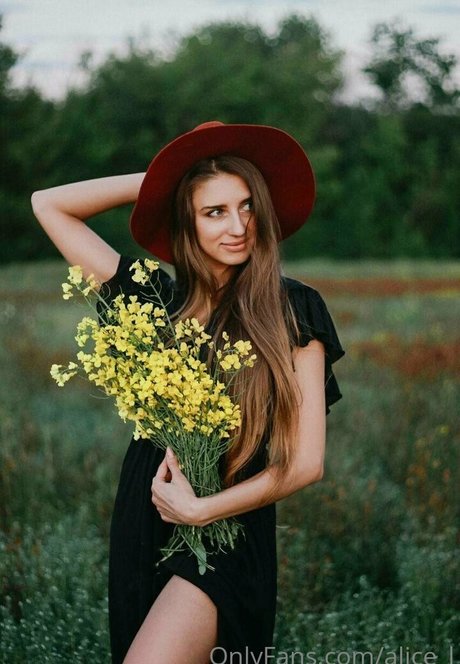 alice l Photo Gallery