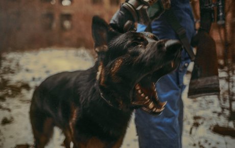 flat chested onlyfans pornos image