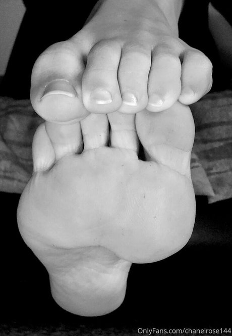 chanelrose144 beautiful pornstar archive