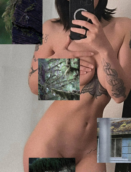 girldefeated star pretty archive