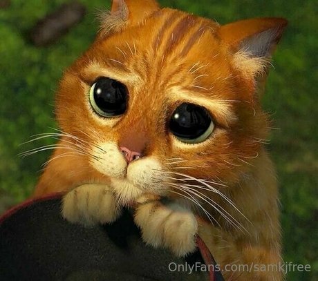 samkjfree sex model img