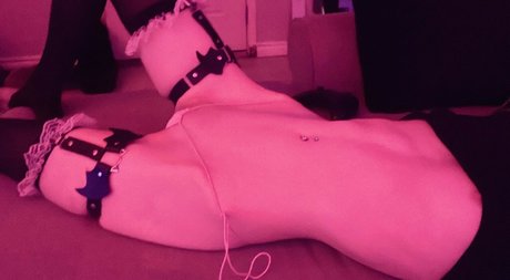 krypt cat star perfect pics