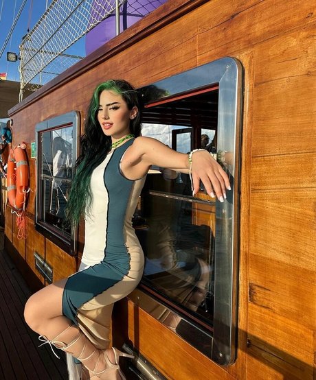 Dilaraa top star photo