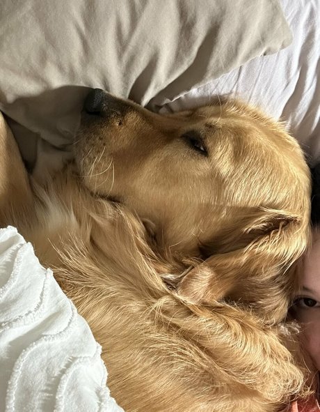 kittncore star top images