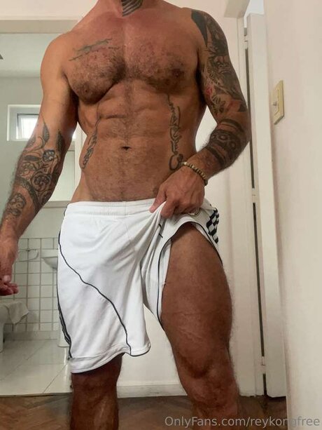 Reykongfree free pornstar galleries