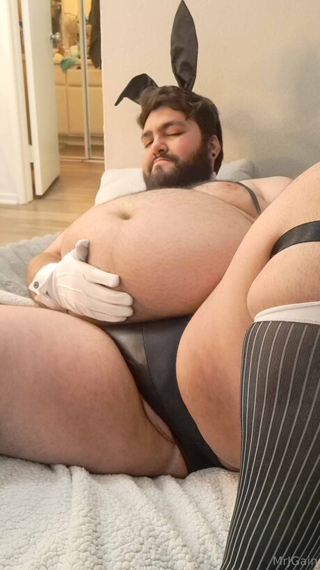 Mrjgain pornographic star galleries