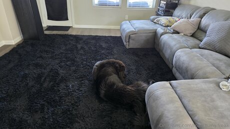 Match My Freak art star img