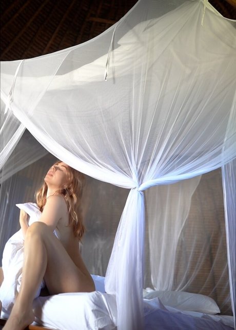 Misscoookiez star art pics