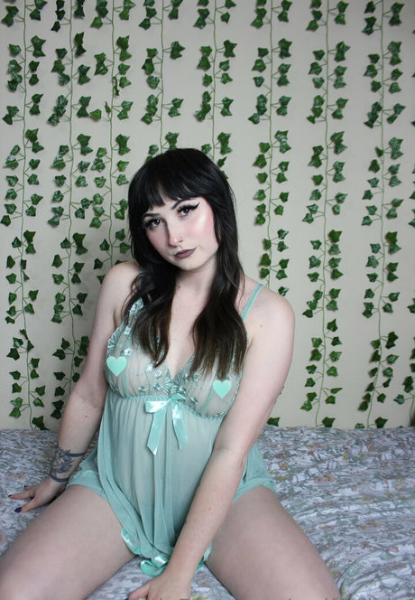 wolfierikku Photo Gallery