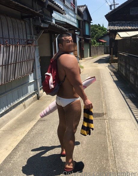 gnumber art star photos