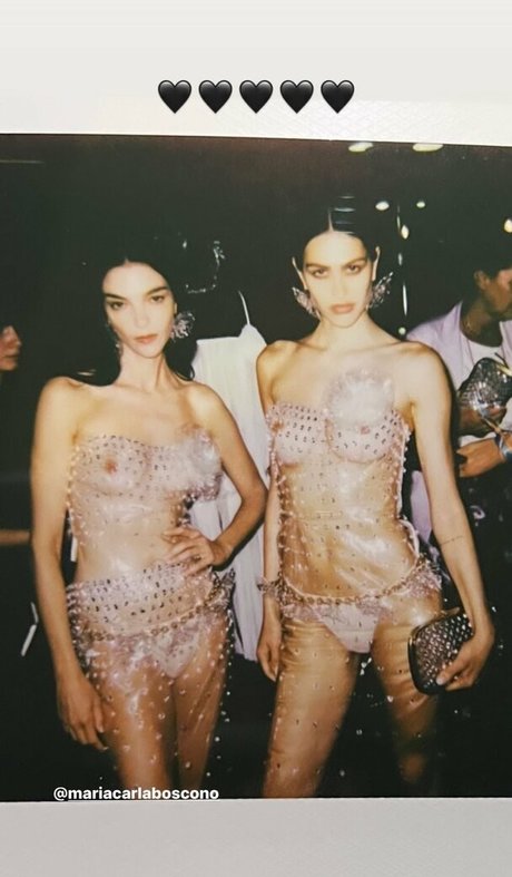 Amelia Gray Hamlin art star img