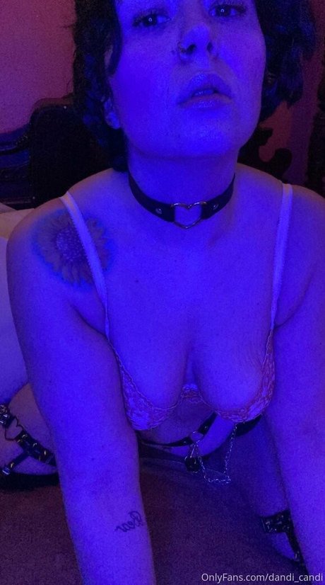 dandi candi hd pornstar pics