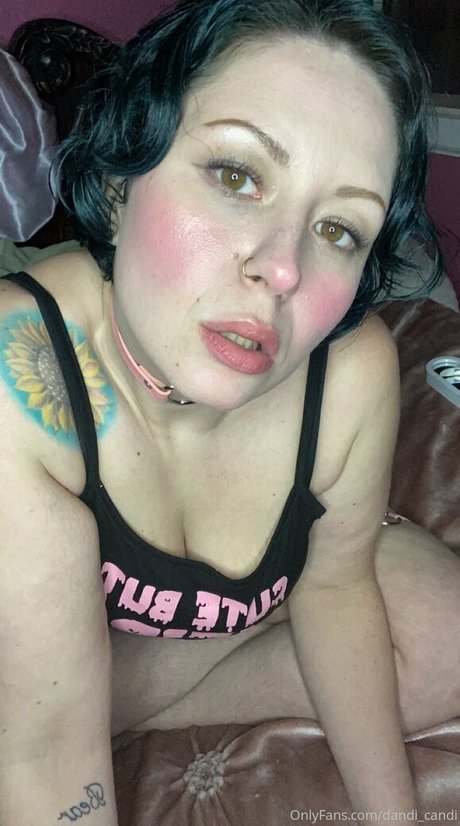 dandi candi star pornographic pictures