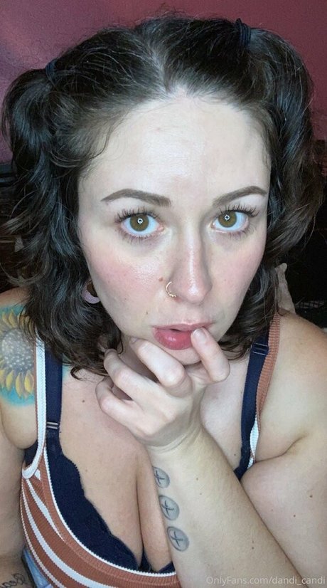 dandi candi high quality pornstar images