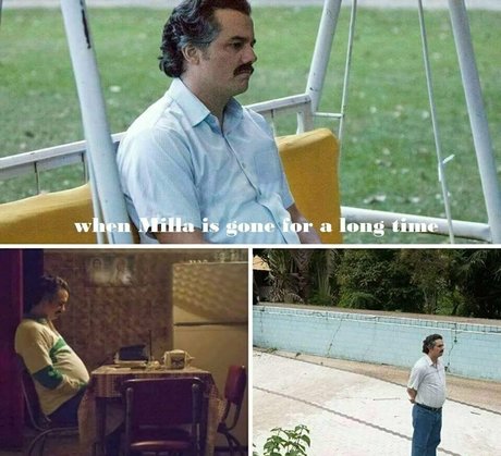 milla snake Profile Photo