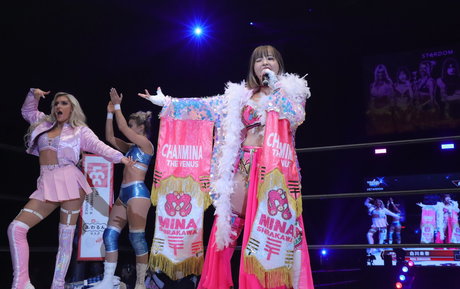 Mina Shirakawa pornstar hot image