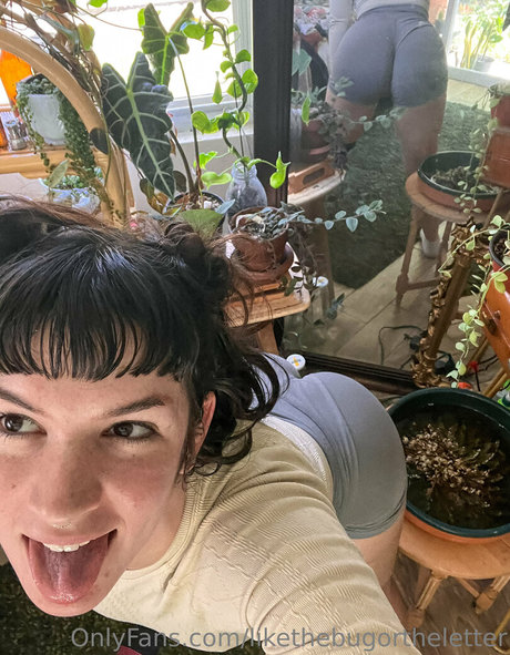 likethebugortheletter best pornstar gallery