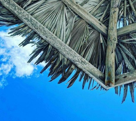 college student onlyfans hot sexy img