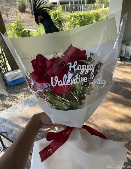 ladyboymos beautiful model img