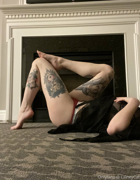 laineycat star high quality image