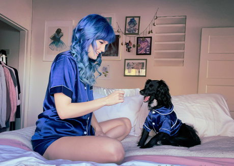 bluejayfree model archive