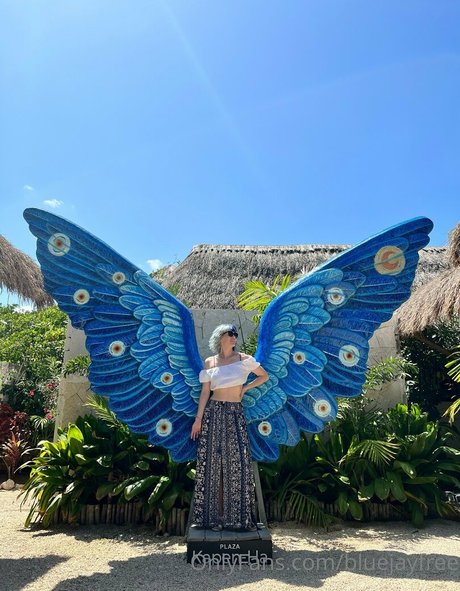 bluejayfree best pornstar galleries