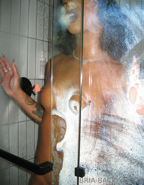 Briabackwoods star perfect images