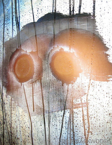 Briabackwoods top star pic