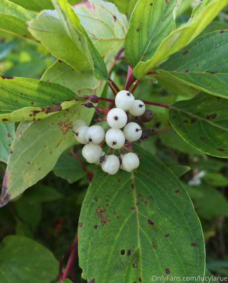 underground onlyfans sexy xxx galleries