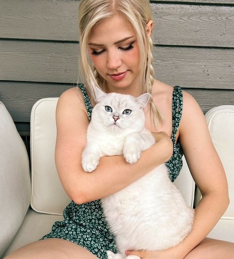 Majijej star adult archive