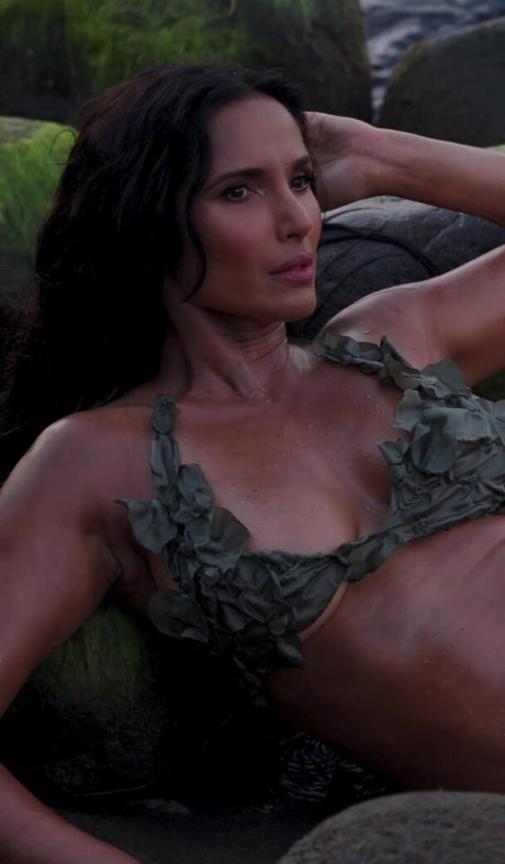 Padma Lakshmi star art gallery