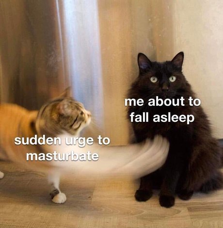 Breckie Hill star pornographic img