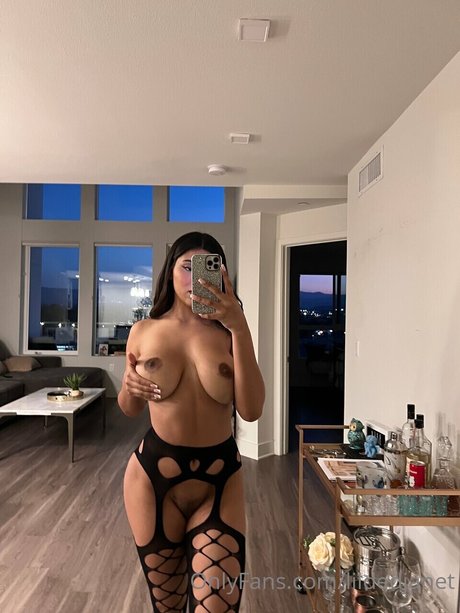 Janet model perfect galleries