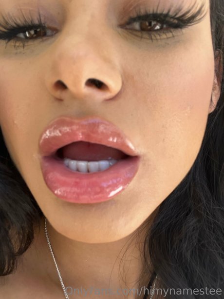 Himynamestee high quality model img