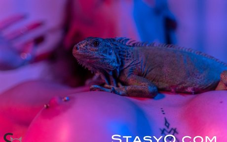 pov pussy onlyfans porn img