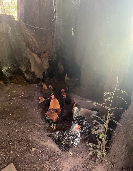 big tits and ass onlyfans porno pic