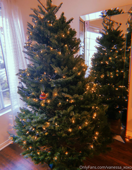 Vanessa Veracruz free pornstar pics