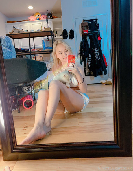 bikini sex onlyfans hot pic