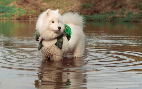 two onlyfans sexy galleries