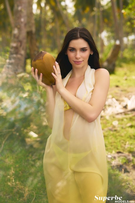 celebrity onlyfans porno photos