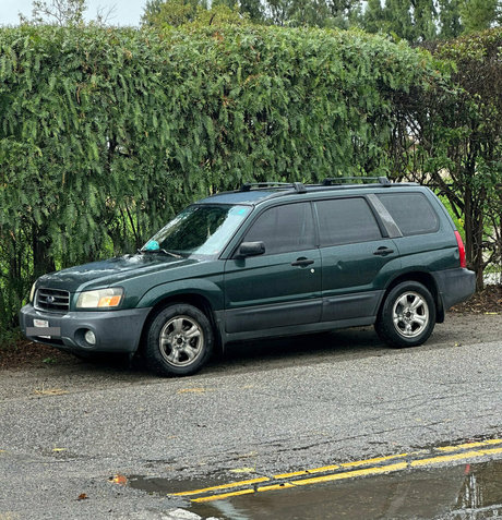 dxmbpup sex star archive