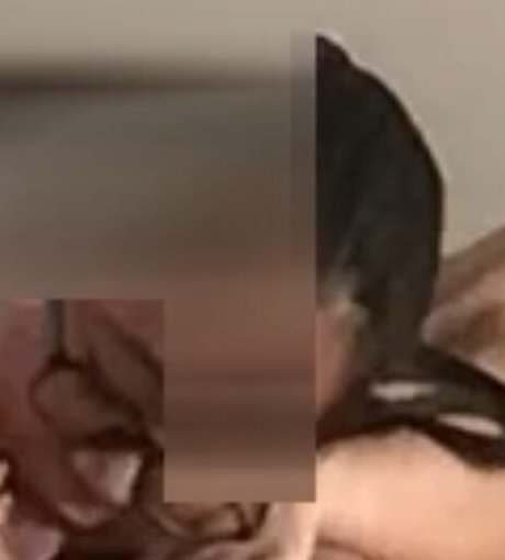 asmr xxx onlyfans pretty picture