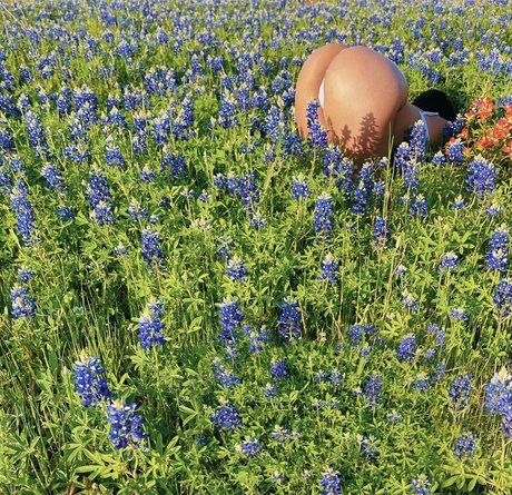 fansly onlyfans free sexy image