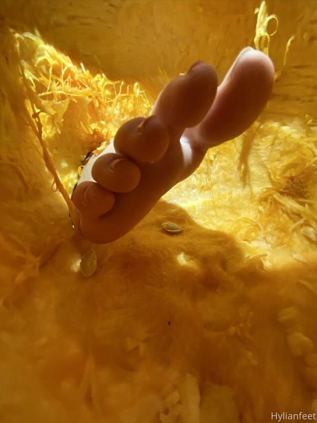 ZeldaHyrule exclusive pornstar photo