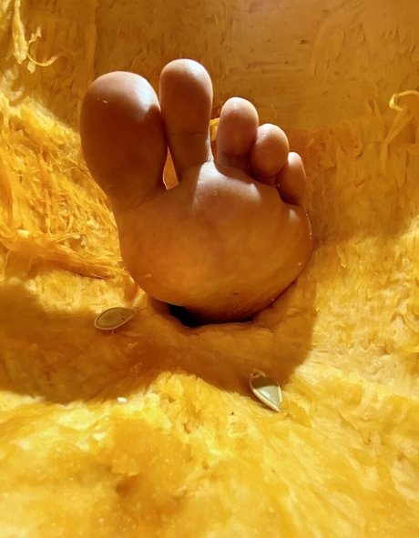 ZeldaHyrule erotic pornstar photos