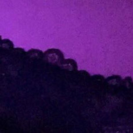 nihsfw xxx star galleries