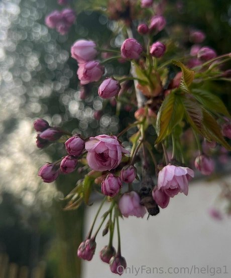 dp onlyfans free sexy archive