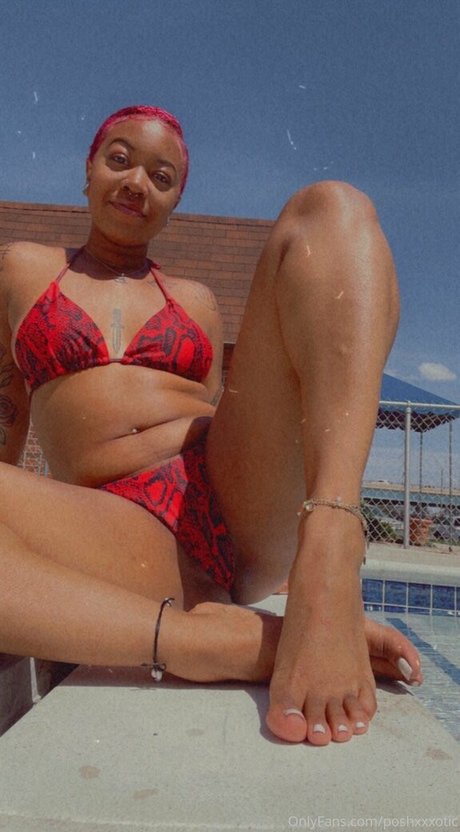 chanelmcqueen perfect star gallery